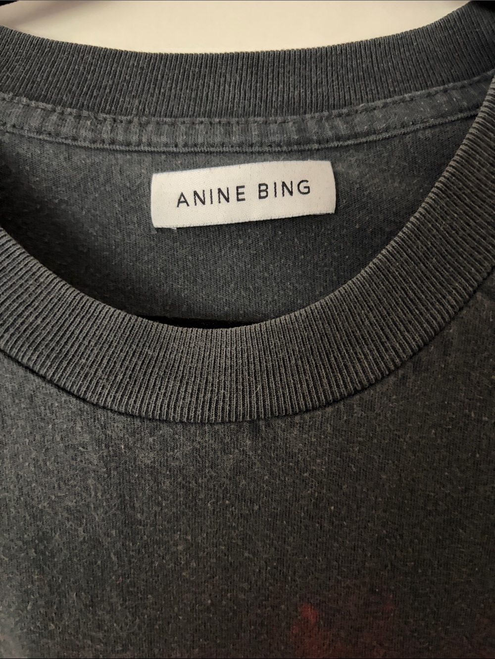 Anine Bing Charcoal Tiger Graphic Tee with Blue Logo - Picture 2 of 3
